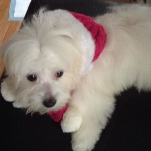 Meet your Posher, Kay